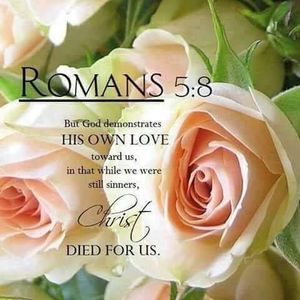 Meet your Posher, Gloria